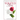 The Wilted Rose