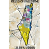 Pieces of Palestine: a collection of poems