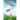 When Giraffes Flew