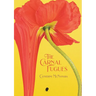 The Carnal Fugues