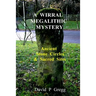A Wirral Megalithic Mystery: Ancient Stone Circles & Sacred Sites