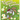 An Easter Bunny's Easter