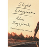Slight Exaggeration: An Essay