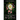 The Changeling Returns
