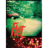 Flet