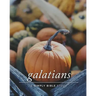 Galatians: A Simply Bible Study