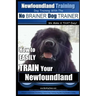 Newfoundland Training Dog Training with the No BRAINER DogTRAINER We Make it THAT Easy!: How to EASILY TRAIN Your Newfoundland