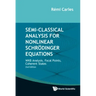 Semi-Classical Analysis for Nonlinear Schrödinger Equations: WKB Analysis, Focal Points, Coherent States (Second Edition)
