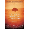 Raised from the Ground