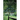 The Dead Summer