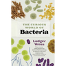The Curious World of Bacteria