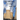 The Absolute at Large