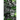 Vengeful Rotten Casualties