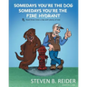Somedays You're the Dog, Somedays You're the Fire Hydrant