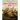 The First Sino-Japanese War: The History and Legacy of the Conflict that Doomed the Chinese Empire and Led to the Rise of Imperial Japan