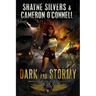 Dark and Stormy: Phantom Queen Book 4 - A Temple Verse Series
