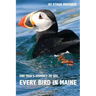 Every Bird in Maine: One Man's Journey to See Every Bird in Maine - A Photographic Account of a Maine Big Year in Birding