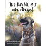 The Day We Met an Angel