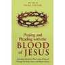 Praying and Pleading with the Blood of Jesus: Activating Miracles in The Courts of Heaven through the Body, Name, and Blood of Jesus