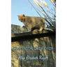 Painting the Cat's Vision
