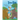 Scared Bears!
