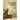 Roger Connor: Home Run King of 19th Century Baseball