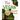 The Vegan Alphabet Book: Let's Learn the Alphabet - Vegan Style!