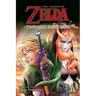 The Legend of Zelda: Twilight Princess, Vol. 11