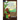 Grandma Marie's Stories