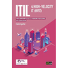 ITIL(R) 4 High-velocity IT (HVIT): Your companion to the ITIL 4 Managing Professional HVIT certification