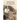 Desert Rose: - The Search For My Lost Lesbian Aunt