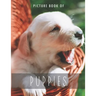 Picture Book of Puppies: for Alzheimer's Patients and Seniors with Dementia.
