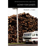Money for Sunsets