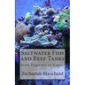 Saltwater Fish and Reef Tanks: From Beginner to Expert