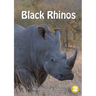 Black Rhinos