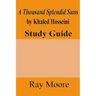 A Thousand Splendid Suns by Khaled Housseini: A Study Guide