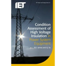 Condition Assessment of High Voltage Insulation in Power System Equipment