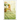 Sweetgrass