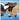 Falconry for Kids: Certería Para Niños