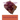 Introduction to Geology