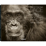 Face to Face: With the Great Apes