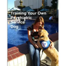 Training Your Own Psychiatric Service Dog