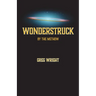 Wonderstruck by The Methow: because the universe wants us to be surprised by what comes next
