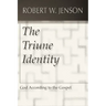 The Triune Identity: God According to the Gospel