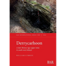 Derrycarhoon: A later Bronze Age copper mine in south-west Ireland