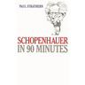 Schopenhauer in 90 Minutes