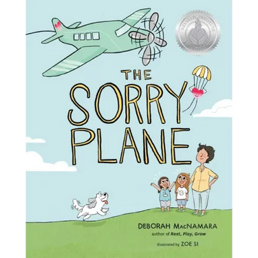 The Sorry Plane