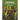 Agronomy: Food, Crops and Environment