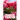 How to Grow Roses: Easy guide to planning, planting and growing a rose flower