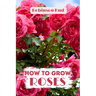 How to Grow Roses: Easy guide to planning, planting and growing a rose flower